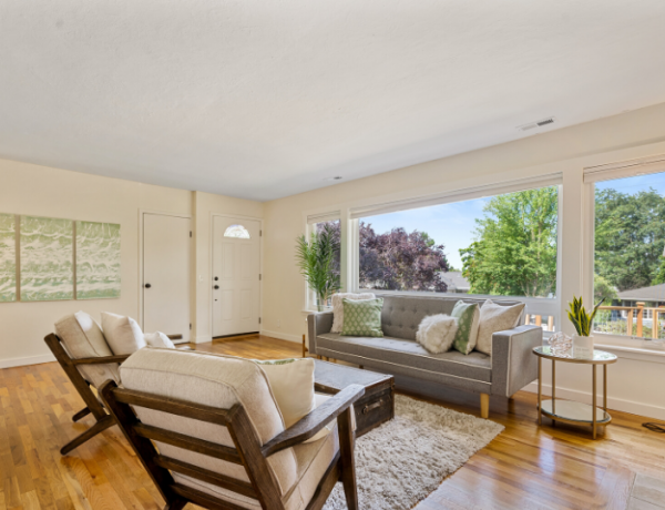 Beginner's Guide to Living Room Decor
