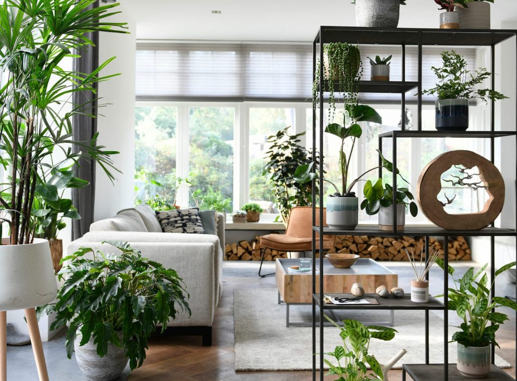 🍀 5 Green Living Room Ideas You'll love 🌳